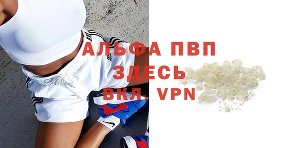 крисы Абаза