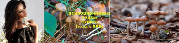 круглые Абинск