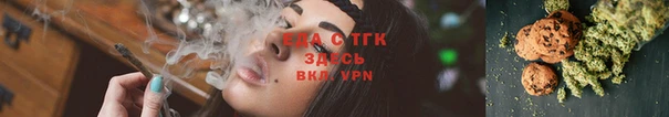 крисы Абаза