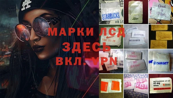 эйфоретик Алзамай