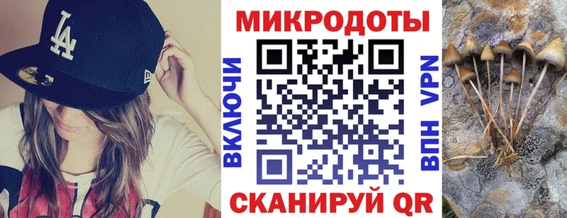 дарнет шоп Калач Галлюциногенные грибы Magic Shrooms